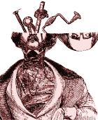 Shoot a flower today!